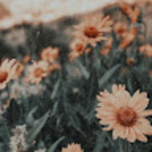 Meet your Posher, Addison